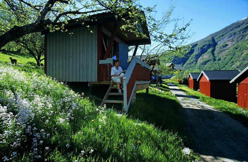 Pluscamp Sandvik Gaupne Oda fotoğraf