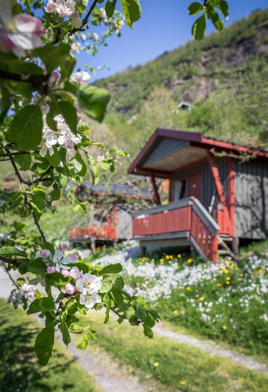 Pluscamp Sandvik Gaupne Dış mekan fotoğraf